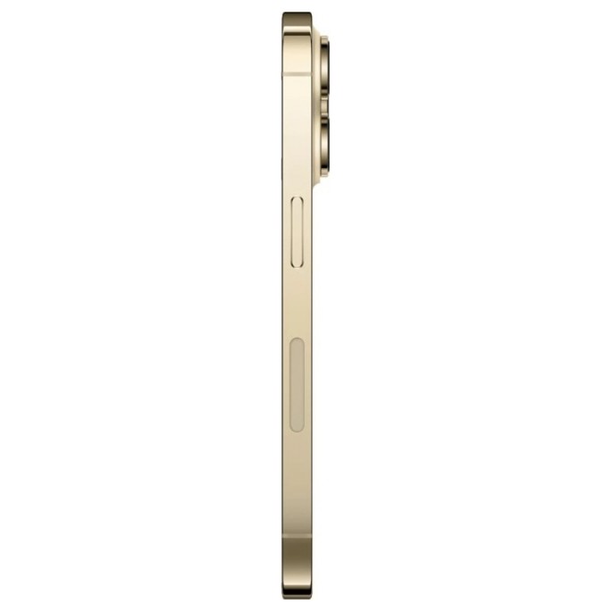 Смартфон Apple iPhone 14 Pro Max 1TB Золото (Gold) eSim | Фото 8 из 9