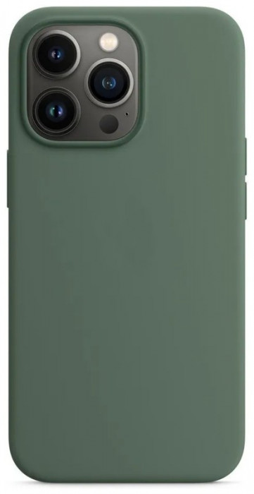 Чехол Silicone Case with Magsafe для iPhone 13 Pro Зеленый (Eucalyptus) +IC | Фото 1 из 2