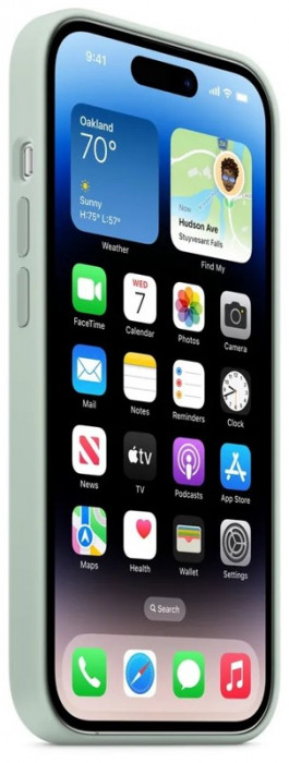 Чехол Silicone Case with Magsafe для iPhone 14 Pro Max Succulent | Фото 3 из 4
