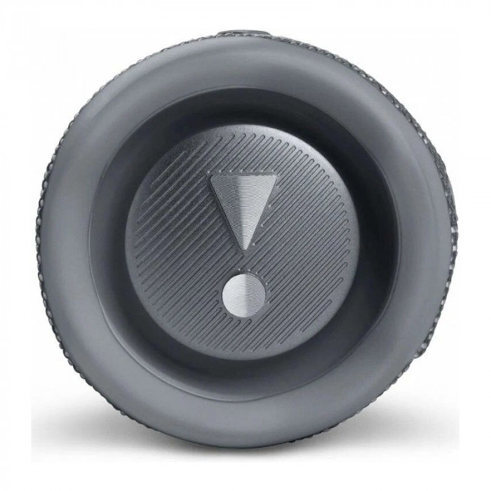 Портативная акустика JBL Flip 6 Серый | Фото 2 из 8