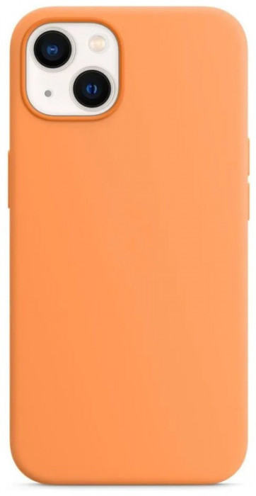 Чехол Silicone Case with Magsafe + IC для iPhone 13 Оранжевый (Marigold) | Фото 2 из 2