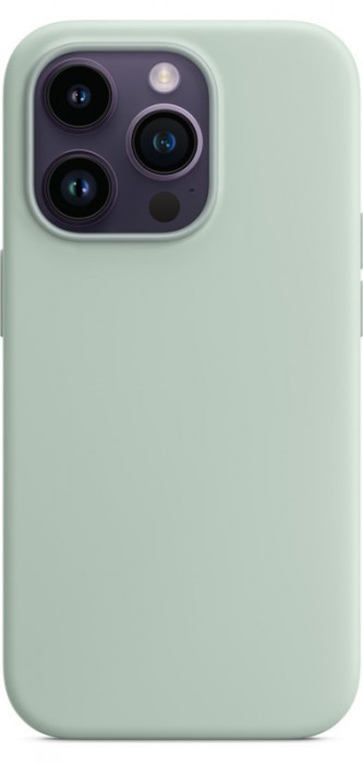 Чехол Silicone Case MagSafe для iPhone 14 Pro Max Succulent | Фото 1 из 3